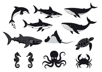 Marine life collection of various sea creatures in black and white illustration.
