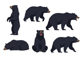 Illustrations of black bears in various poses including standing walking roaring and resting.
