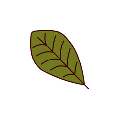 collection of dry leaf stickers in autumn