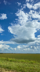 scenic beautiful rural America landscape features a vibrant green field beneath a blue sky dotted...