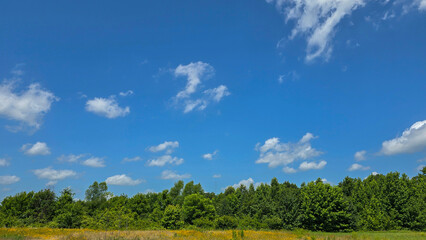 Fototapeta premium scenic beautiful rural America landscape features a vibrant green field beneath a blue sky dotted with fluffy clouds, bordered by green fast land and distant trees