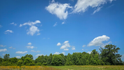 Obraz premium scenic beautiful rural America landscape features a vibrant green field beneath a blue sky dotted with fluffy clouds, bordered by green fast land and distant trees