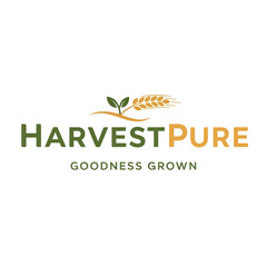 Harvest Pure logo design with wheat stalk and green sprout icon.