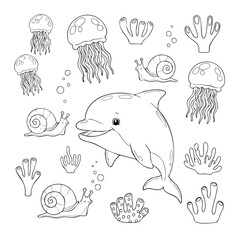 Cute Ocean Animals Line Art Vector Illustration with Dolphin Jellyfish Snail and Coral Set