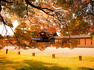 紅葉し始めたモミジ越しに見る京都御所の建春門