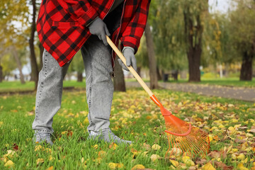 Man with rake gathering autumn leaves outdoors