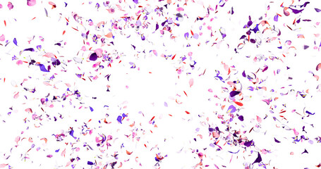 Flower petals flying here in the wind. Colorful several flowers. Isolated on alpha background. 3D rendering.