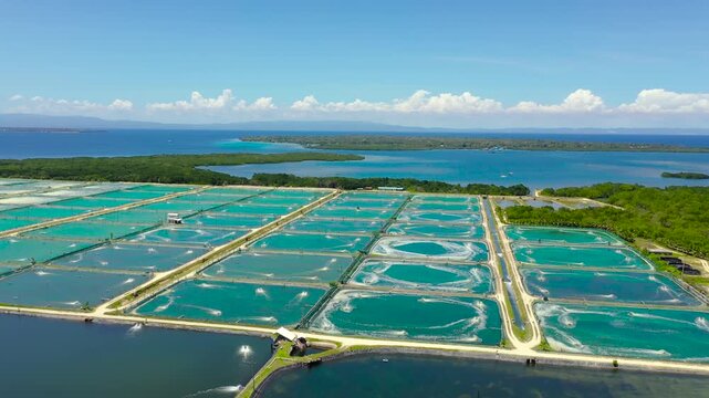 Shrimp farm with ponds and aerator pump, top view. Bohol, Philippines. The growing aquaculture business continuously threatening the nearby wetlands.