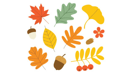 A vibrant collection of diverse autumn leaves and decorative elements artfully arranged on a clean white background for seasonal design projects