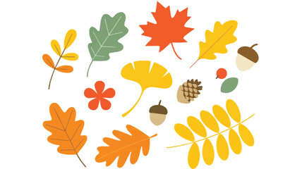 Obraz premium A vibrant collection of diverse autumn leaves and decorative elements artfully arranged on a clean white background for seasonal design projects