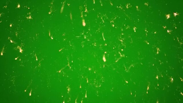 Golden fireworks explode on a vibrant green background, creating a festive, celebratory scene