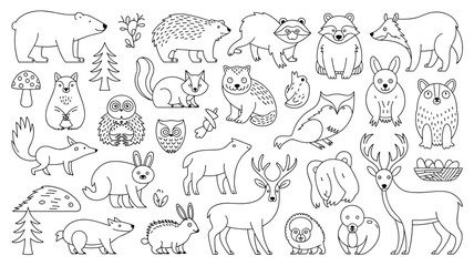 Woodland fauna line drawing featuring bear raccoon owl deer squirrel and other animals