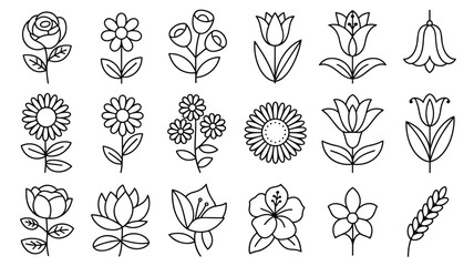Collection of floral elements outline drawing botanical illustrations and sketches
