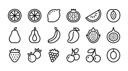 Collection of outline style hand drawn fresh organic fruits for healthy diet food concept