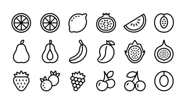 Collection of outline style hand drawn fresh organic fruits for healthy diet food concept
