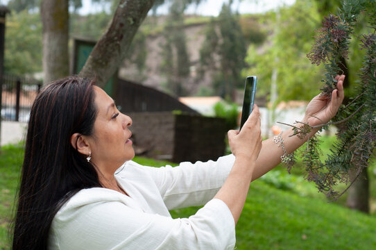Woman photographing tree branch with phone in park