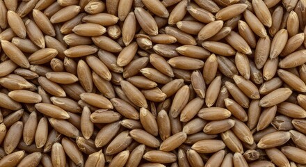 Detailed macro photograph capturing the intricate, uniform surface texture of dried whole grain kernels, forming a dense, complex abstract pattern, warm, grain, texture