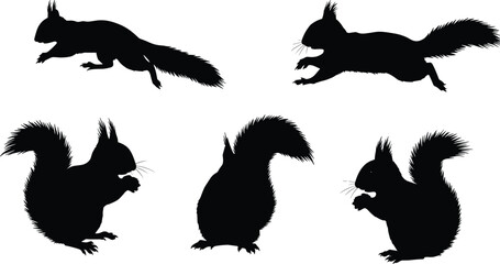 Cad drawing flat vector illustration of five squirrel silhouettes, wildlife animal design, jumping and eating poses, nature art concept, black outline