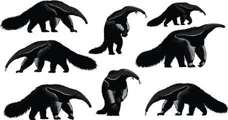 Giant anteater animal silhouette collection, tropical wildlife illustration, exotic mammal vector art, forest creature design, nature drawing, black anteater graphic artwork