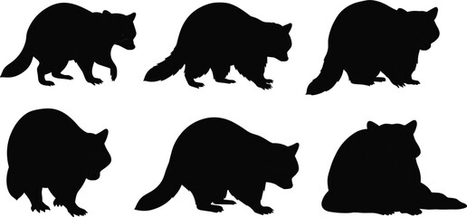 Raccoon silhouette set, wild animal illustration, forest wildlife vector design, black raccoon shadow collection, nature mammal graphic art, animal pose drawing