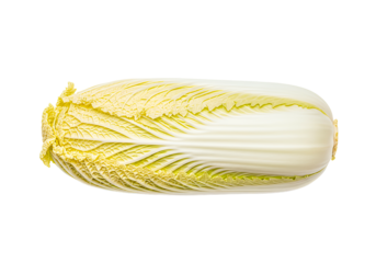 Fresh napa cabbage, a staple in asian cuisine, ready for healthy recipes and vegetarian dishes, bringing vibrant flavor to your next culinary creation