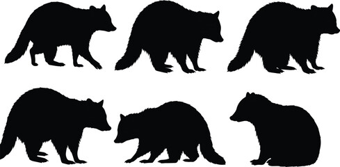 Black raccoon silhouette set, wild animal poses, forest wildlife illustration, raccoon vector collection, animal shadow art, nature design graphic