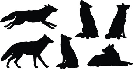 Black wolf silhouette collection isolated on white background, wild animal vector illustration, howling wolf pose design for nature art