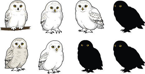 Cad drawing flat vector illustration of eight white owl poses, wildlife bird design, nocturnal animal art, cartoon character collection, nature concept