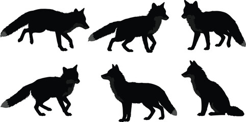 Cad drawing flat vector illustration of fox animal silhouettes, wild forest predator walking standing and sitting poses in black design