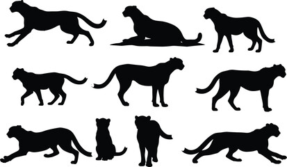Cheetah silhouette collection, running cheetah, wild animal poses, big cat illustration, wildlife design, safari art, predator vector set, jungle theme, nature background