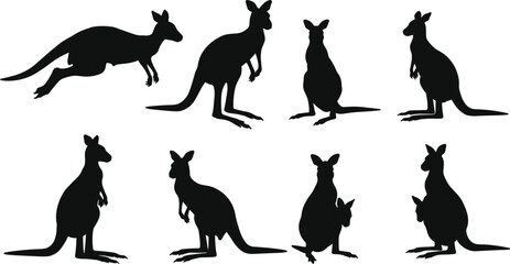 Kangaroo silhouette collection isolated on white background, Australian wildlife animal illustration, jumping and standing poses for nature art and design
