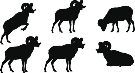 Ram animal silhouette collection, wild mountain sheep illustration, strong horned mammal vector art, wildlife design, nature graphic, black ram artwork
