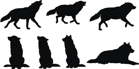 Silhouette collection of wolves in various poses howling walking sitting and lying isolated on white background wildlife vector illustration design