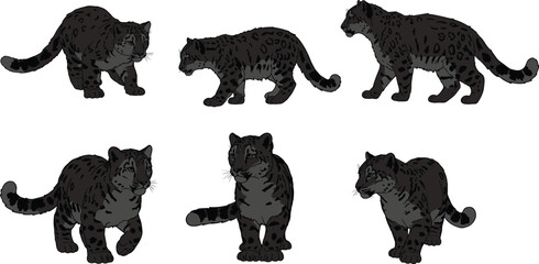 Snow leopard illustration set, wild animal in various poses, wildlife art, endangered species, nature conservation, big cat and mountain predator