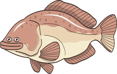 Illustration of a Brown Spotted Grouper
