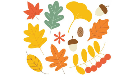 Obraz premium A beautiful collection of diverse autumn leaves and decorative elements artfully arranged on a clean white background for seasonal design projects