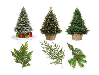 assortment of artificial christmas trees and various evergreen branches, including flocked, decorated, and natural styles, isolated on a transparent background.