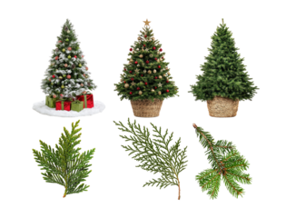 assortment of artificial christmas trees and various evergreen branches, including flocked, decorated, and natural styles, isolated on a transparent background.