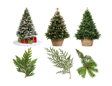 assortment of artificial christmas trees and various evergreen branches, including flocked, decorated, and natural styles, isolated on a transparent background.