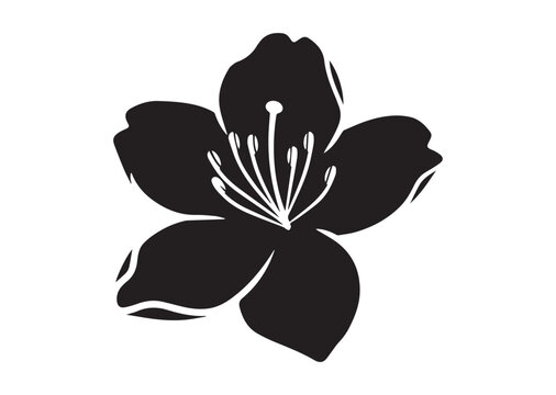 Azalea Flower icon, Azalea Flower silhouette vector