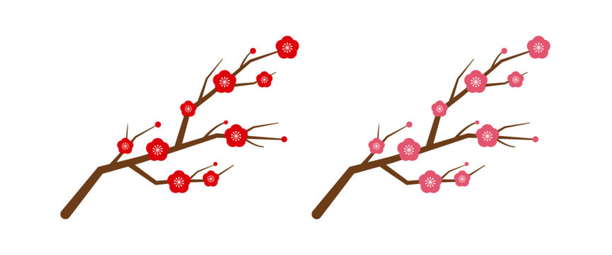 梅の花　イラスト　シンプル　ベクター　枝あり
