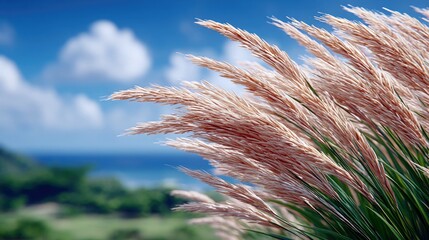 Close-up of feathery pampas grass plumes in soft focus, with a blurred background of green hills, blue ocean, and white clouds under a bright blue sky.