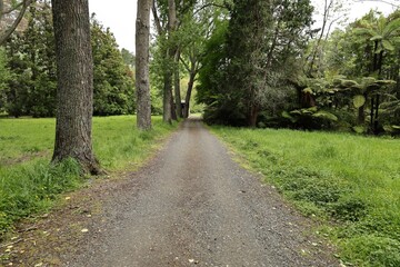 Gravel Pathway Surrounded By Lush Green Trees And Grass