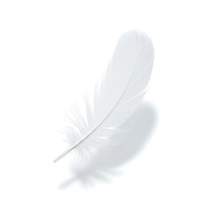 Obraz premium white feather on white background
