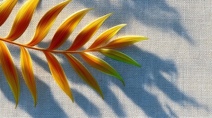 Close-up of a palm leaf with vibrant yellow and orange hues, casting a shadow on a textured white fabric. The image is lit by sunlight.