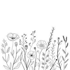 Naklejka premium Delicate black and white wildflower meadow sketch
