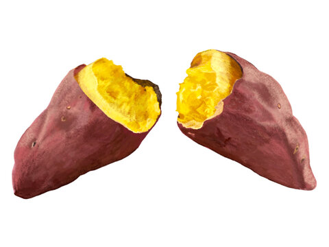 焼き芋（断面）