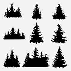 Highly Detailed Forest Pine and Spruce Tree Silhouettes Collection