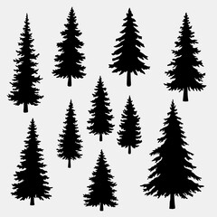 Large Collection of Individual Hand-Drawn Pine and Spruce Tree Silhouettes