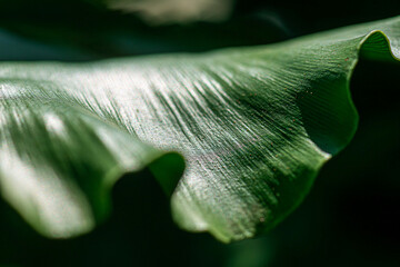 Green Future Breeze Environmental Responsibility in Focus